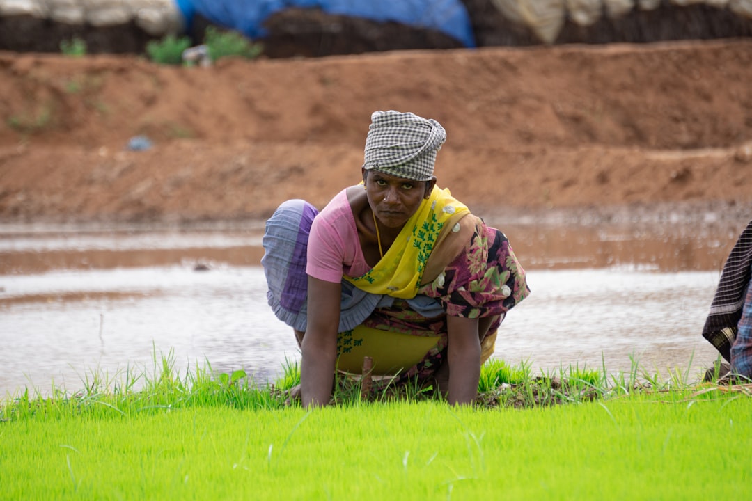It's not just your cooking gas; the war may also affect the Kharif crops